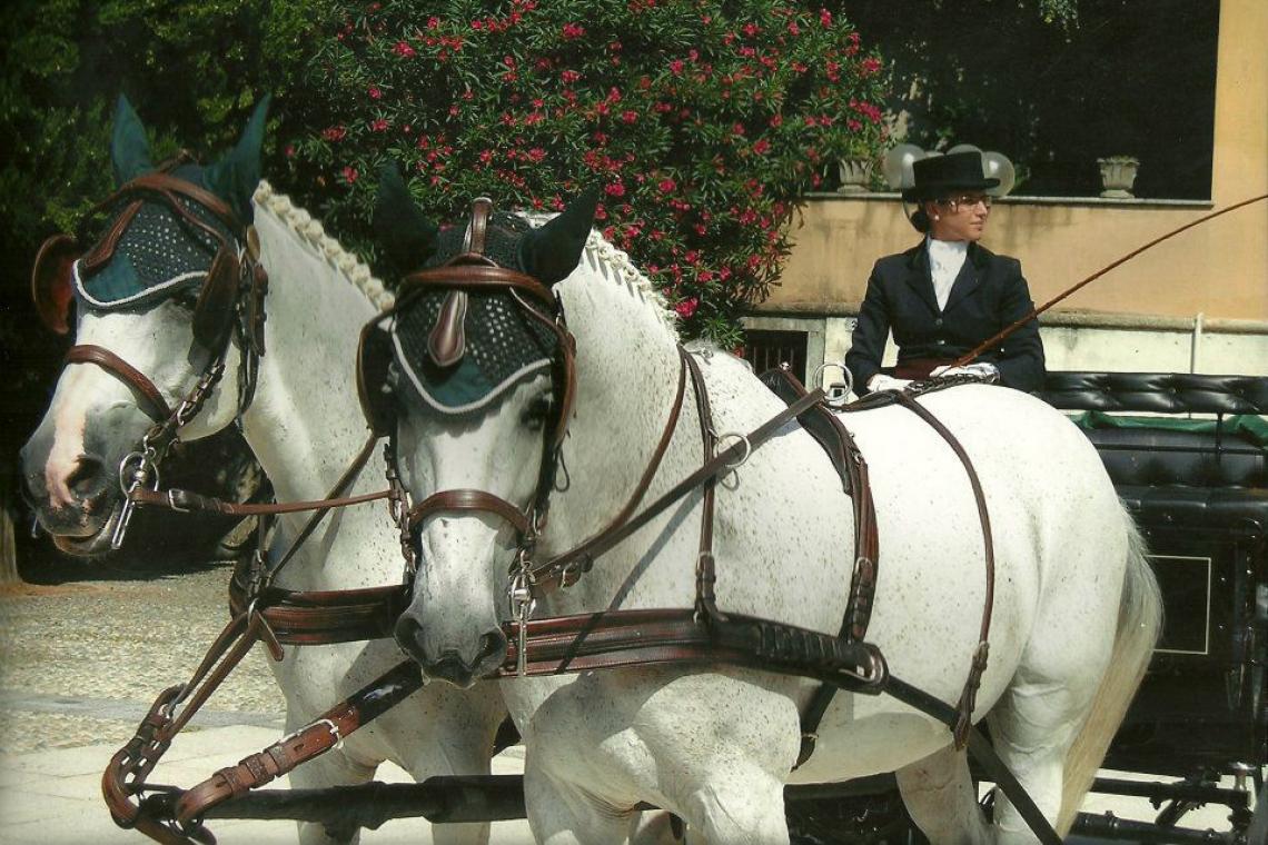 Carrozza con cavalli, Ristorante Molera, Banchetti nuziali | Cerimonie | Eventi