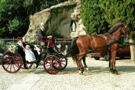 Carrozza con cavalli, Ristorante Molera, Banchetti nuziali | Cerimonie | Eventi